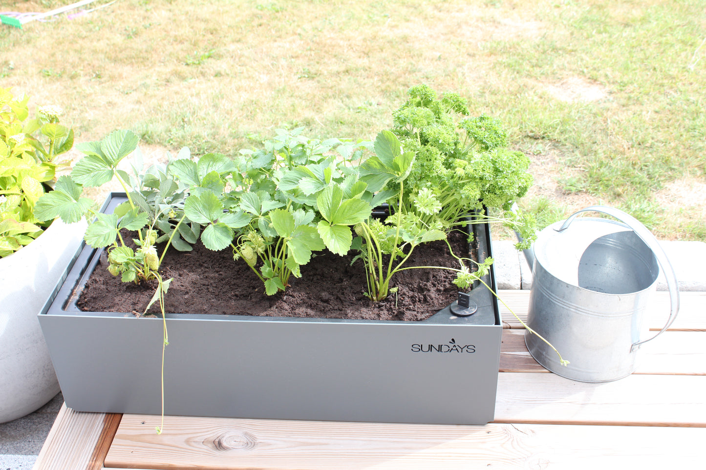 Frame Planter