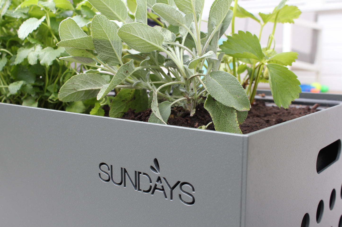 Frame Planter