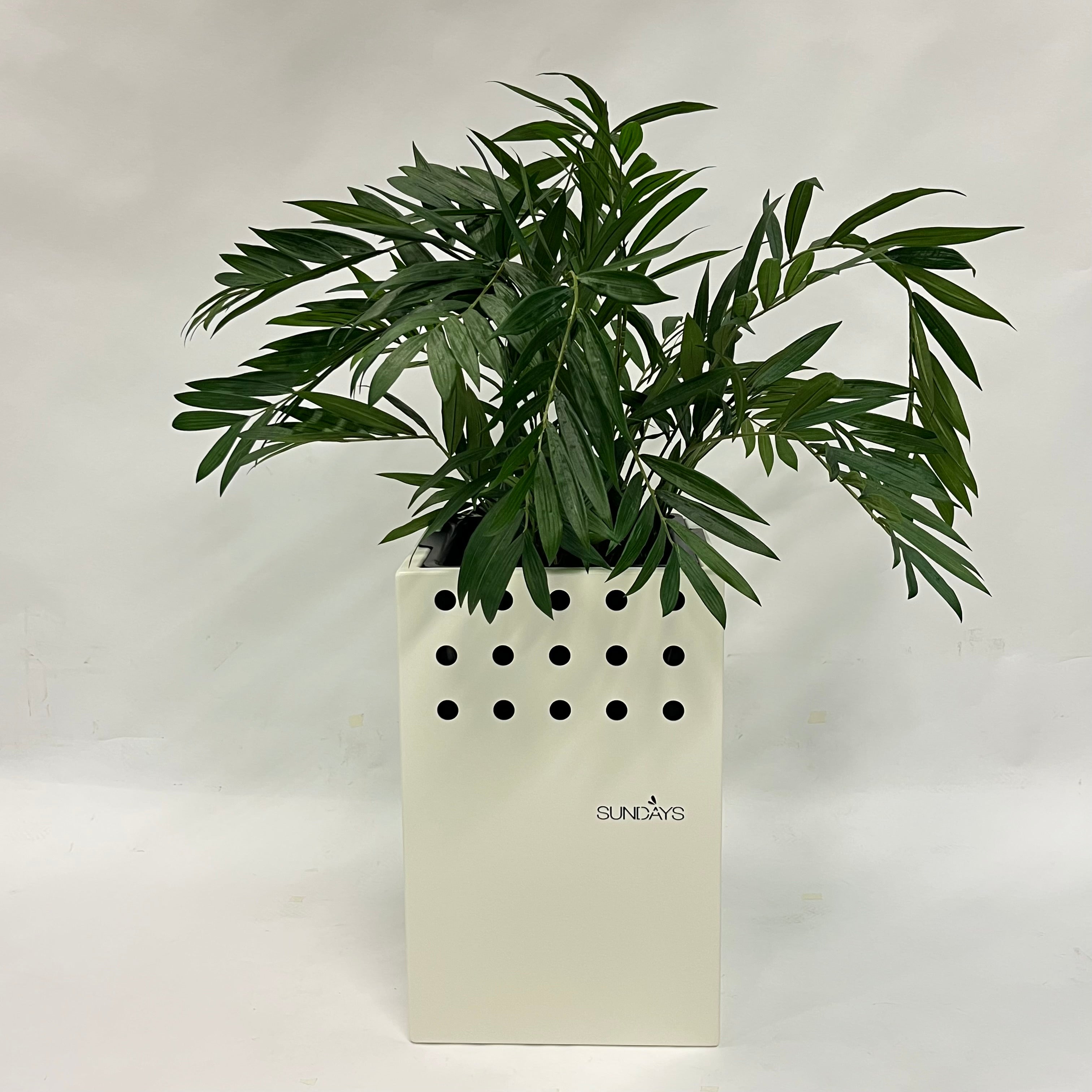 Frame Flowerpot