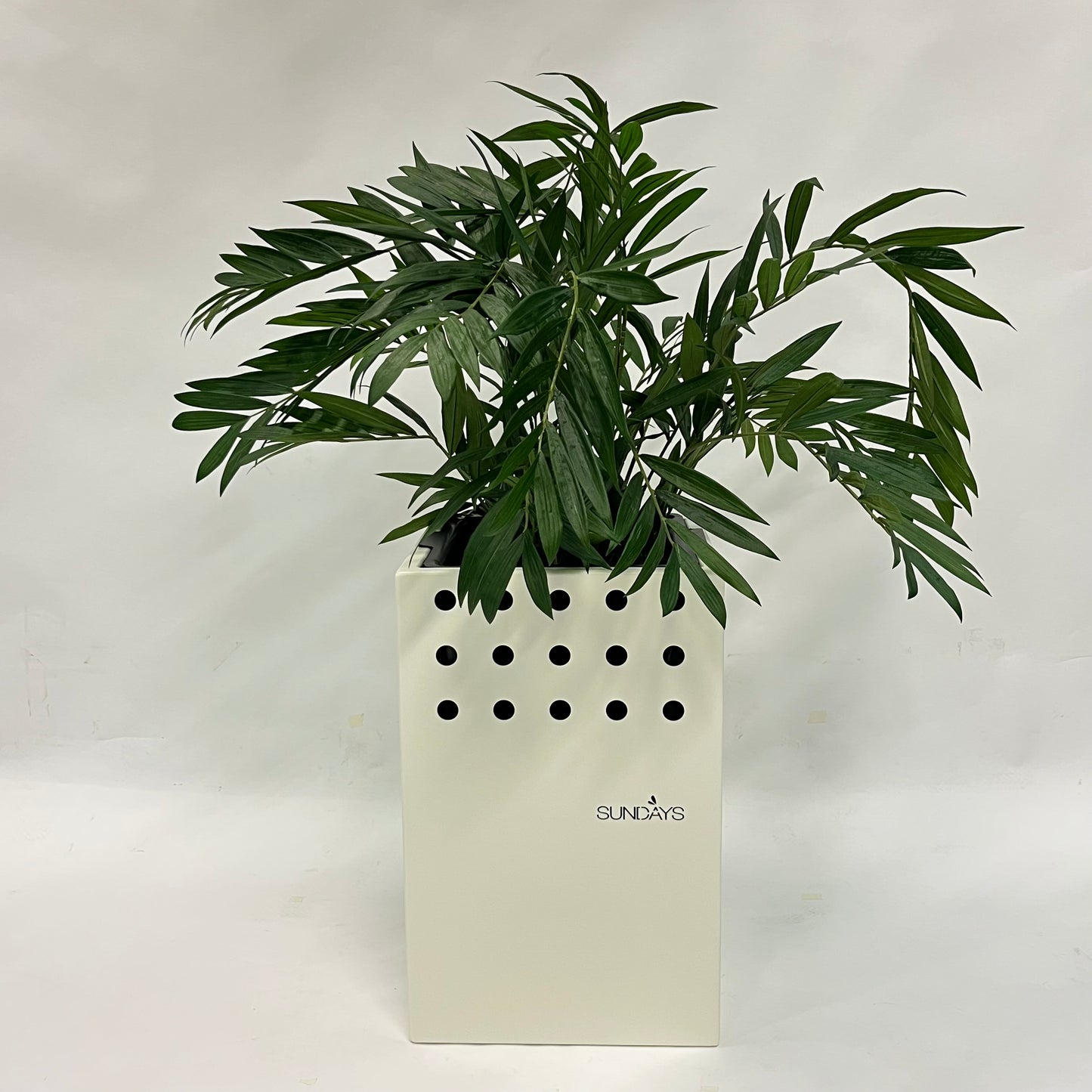 Frame Flowerpot